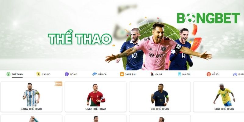 Tổng quan về chương trình hoàn phí bảo trì Ds99 - Ds99