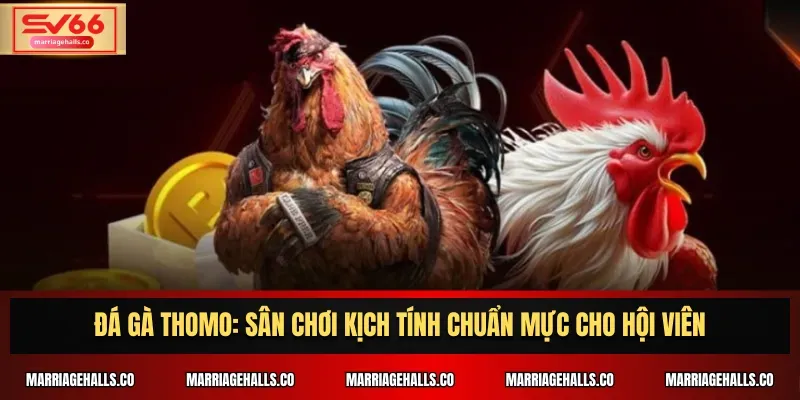 Tổng quan về các trang web chơi game trực tuyến cấp độ Viu88 - Viu88