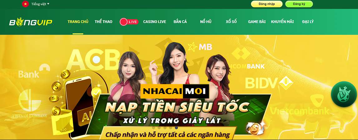 Các dịch vụ do Abcvip House cung cấp - Abcvip