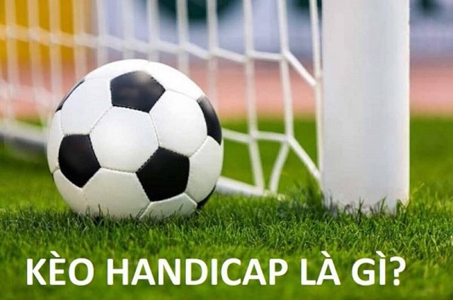 Cần đáp ứng những điều kiện gì để trở thành nhà phân phối Bk8? - Bk8