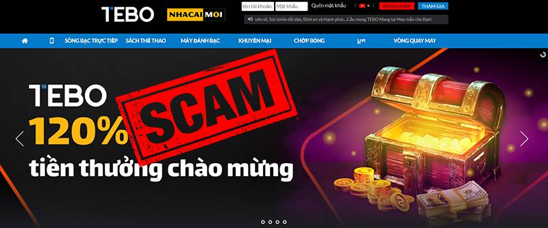 Xin giới thiệu Ffok, cổng game bài trực tuyến số 1! - Ffok