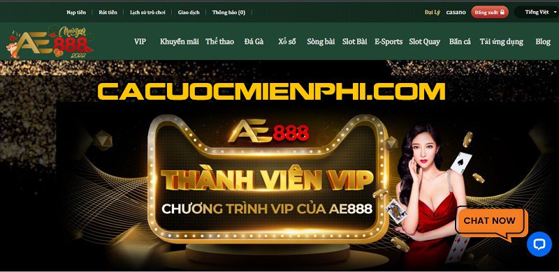 Chiến dịch khuyến mãi của Tt128 tặng thưởng 28000 đô la cho các thành viên mới - Tt128