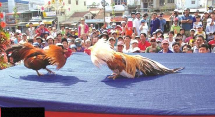 Điều kiện tham gia cá cược trực tiếp cấp độ Kc88 - Kc88
