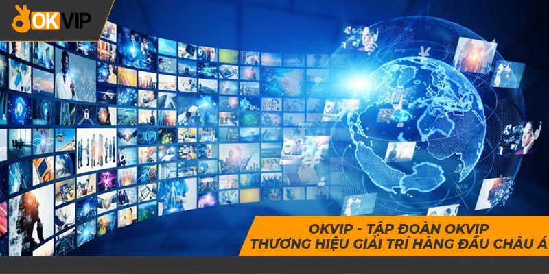 Chi tiết và Điều khoản Chính sách của Haywin - Haywin