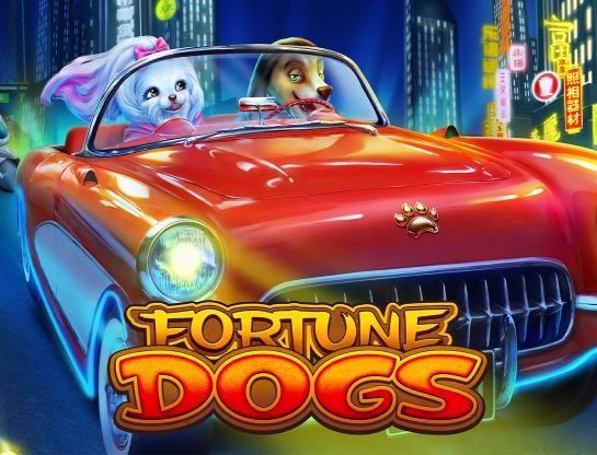 Fortune Dogs