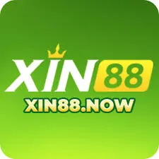 Xin88